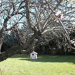 A Casa Vittoria לינה וארוחת בוקר 3*