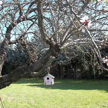 A Casa Vittoria ベッド・アンド・ブレックファスト 3*