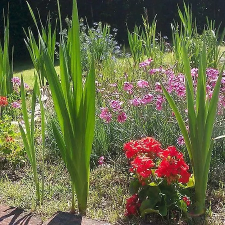 A Casa Vittoria Panzió